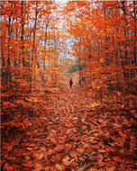 Orange Autumn Poster