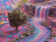 Huckleberry Tree - Poster