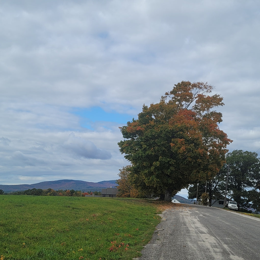 New Hampshire Back Road Poster