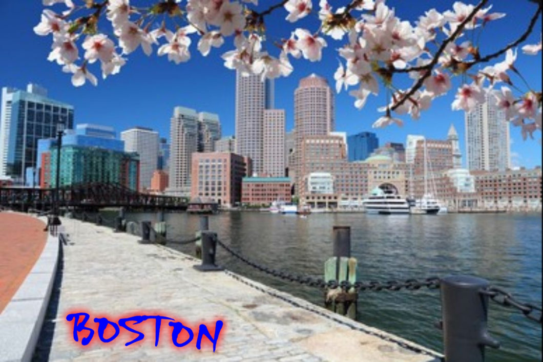 Blossoms Boston