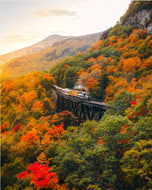 Mt Wsh New Hampshire Cogway Poster