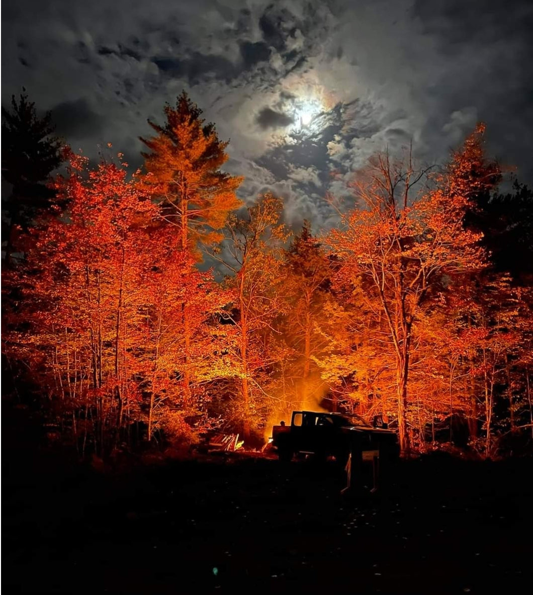 Fall Fire New Hampshire Poster