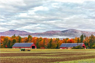 Maine Farm Poster